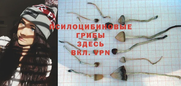 гашик Липки