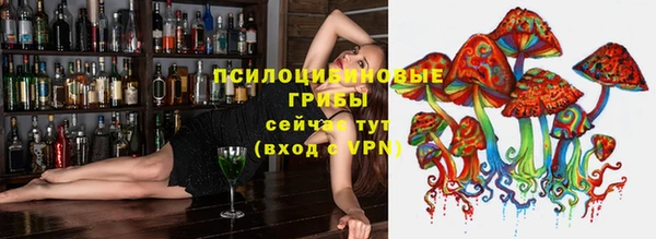гашик Липки