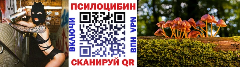 где можно купить наркотик  Березники  Псилоцибиновые грибы мухоморы 