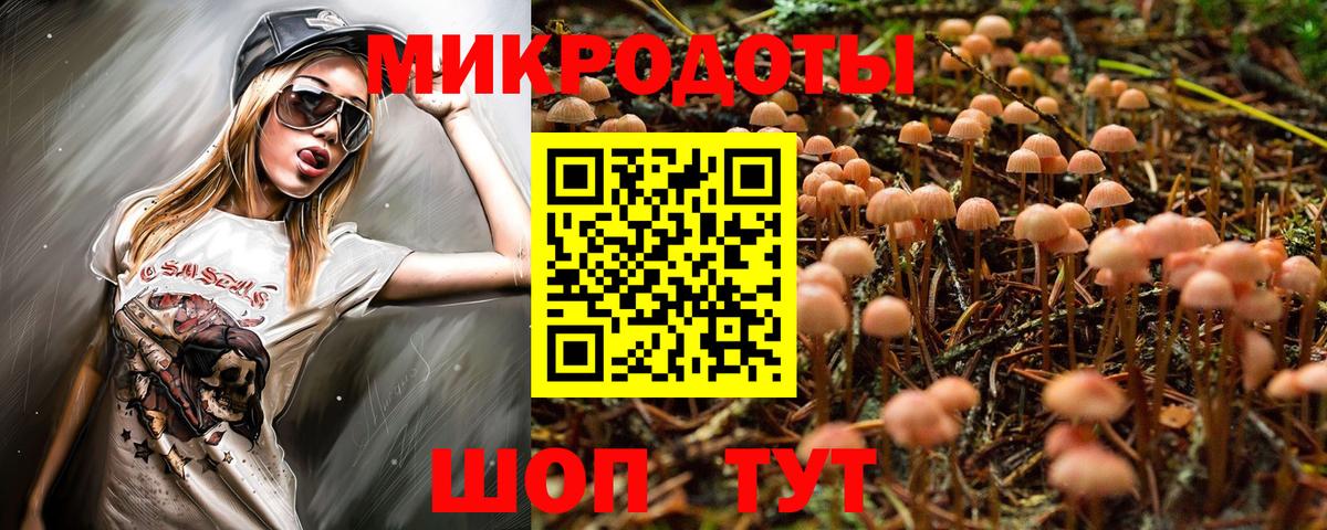 Березники  Галлюциногенные грибы прущие грибы  Вход с VPN 