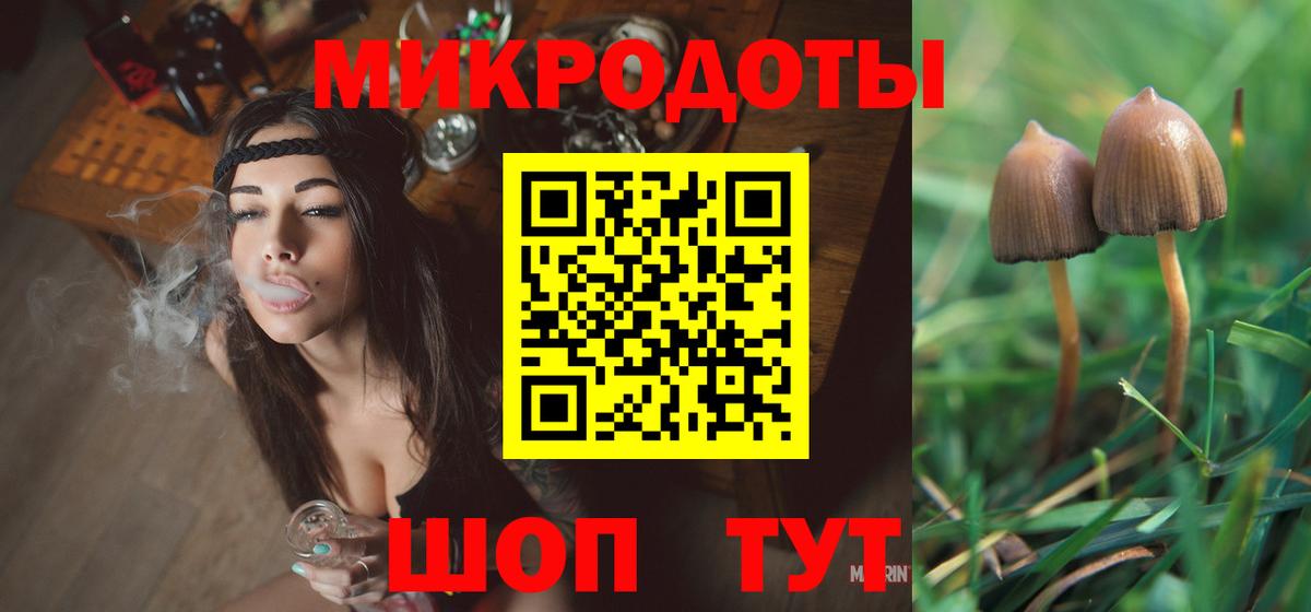 Псилоцибиновые грибы Cubensis Березники